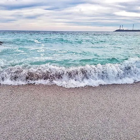 Solid 马马亚