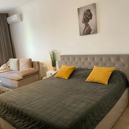 Solid Apartment Mamaia